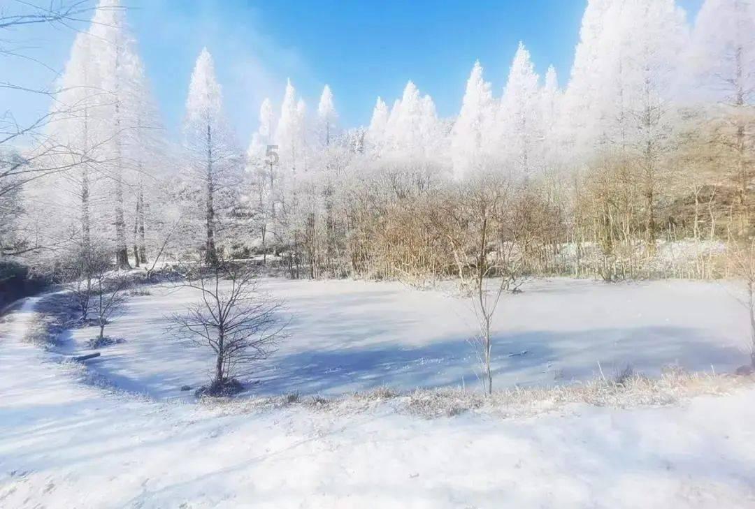 泰国佛牌怎么看真假游戏画面